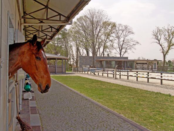 Sevil Sabancı Private Riding Facilities 1