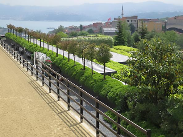 S International Equestrian Center