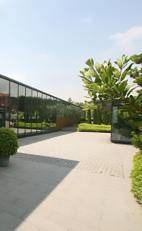 S International Equestrian Center